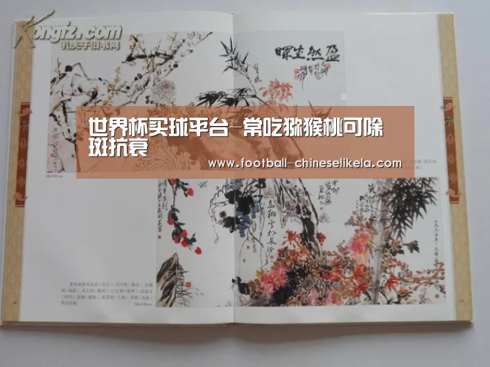 世界杯买球平台
