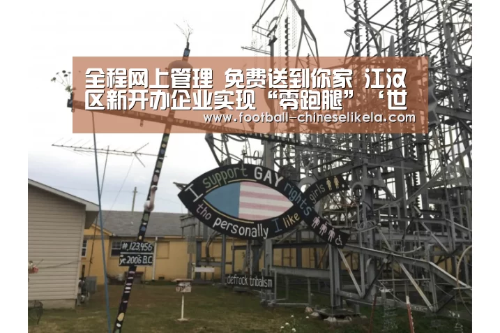 全程网上管理 免费送到你家 江汉区新开办企业实现“零跑腿”‘世界杯买球’(图3) 世界杯买球网站