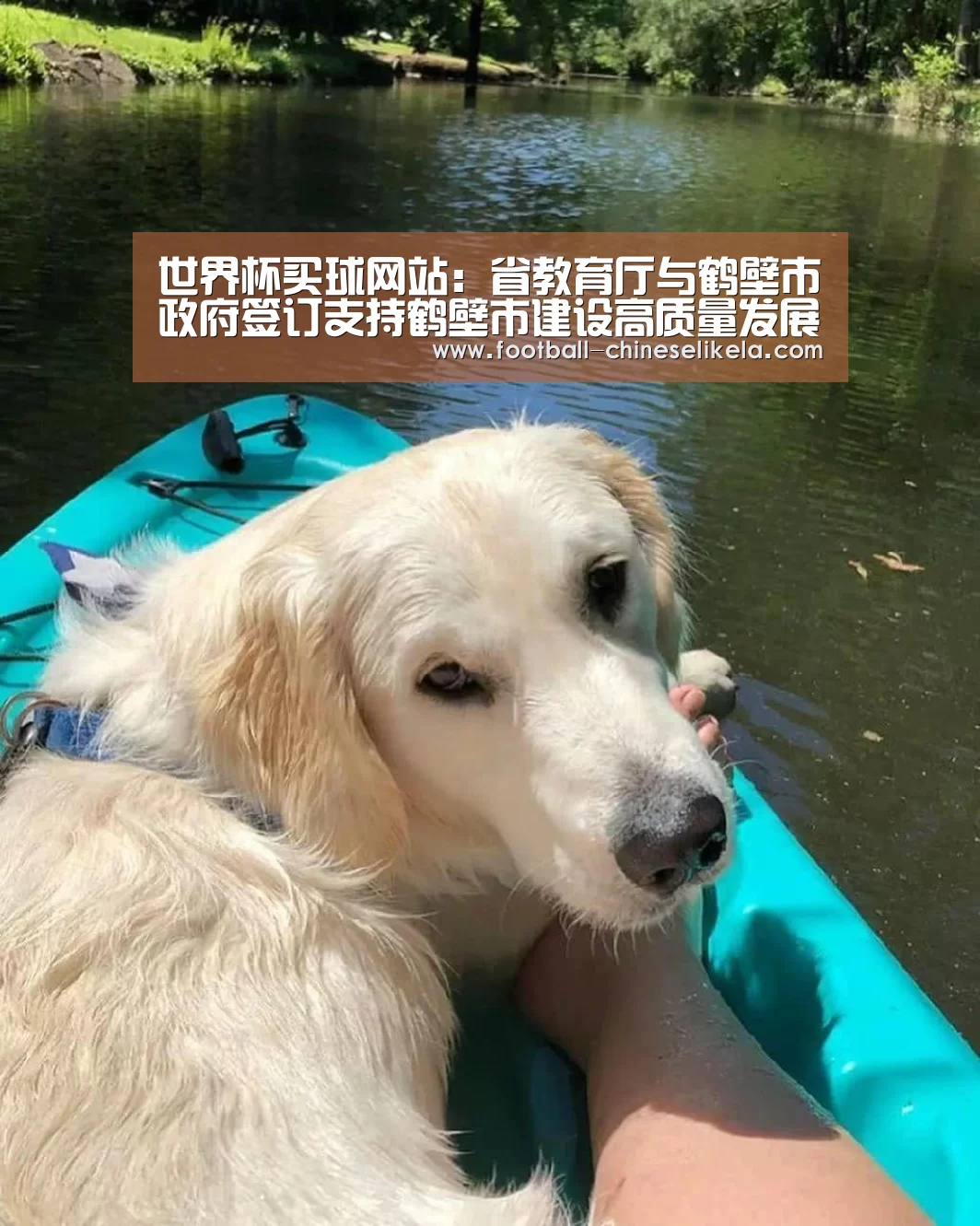 世界杯买球网站：省教育厅与鹤壁市政府签订支持鹤壁市建设高质量