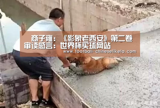 世界杯买球网站