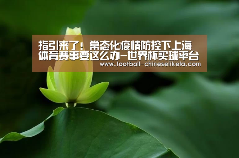 世界杯买球网站